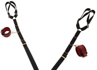 Bad Kitty Bed/Door Restraint Set