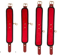 Bad Kitty Bed/Door Restraint Set