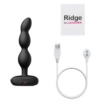 Lovense Ridge Analvibrator