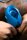 HOT OCTOPUSS Pulse Solo Essential Blau
