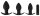 Black Velvets Butt plug set