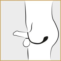Black Velvets Cock & ball ring with butt plug