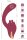 JAVIDA 2 Function Vibrator