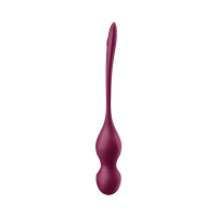 SATISFYER Love Birds Vary Connect App
