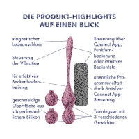 SATISFYER Love Birds Vary Connect App