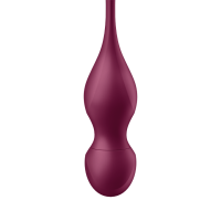SATISFYER Love Birds Vary Connect App