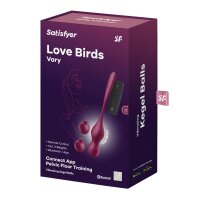 SATISFYER Love Birds Vary Connect App