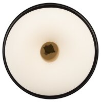 Rebel SKULL Masturbator with 3 Functions