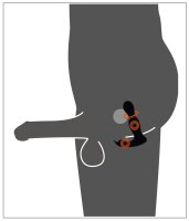 Rebel RC Butt Plug with 2 Functions