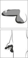 Rebel Penis Trainer with 3 Point Stimulation
