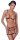 Cottelli LINGERIE Body aus elastischen Samtbändern