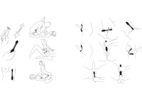 BeauMents Flexxio blue