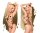 PENTHOUSE LINGERIE No Taboo S-L schwarz
