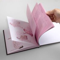 Secret play - Kamsutra Book (ES/EN/DE/FR/NL/PT)
