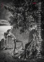 Jens Brüggemann Hot Stuff Kalender DIN A4 2027