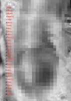 Jens Brüggemann Nice Guys & Bad Cock Kalender DIN A4 2026