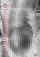 Nice Guys & Bad Cock Kalender DIN A4 2026 Jens Brüggemann