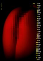 Jens Brüggemann Pornogirls Kalender DIN A4 2026