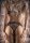 Jens Brüggemann Hot Sexy Girls Kalender DIN A3 2027
