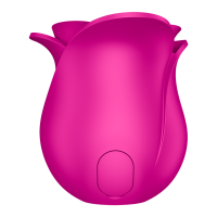 SATISFYER Pro 2 Modern Blossom