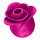 SATISFYER Pro 2 Modern Blossom