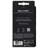 BILLY BOY Viel Gefühl 10er