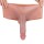 XX-DREAMSTOYS Penis-Performance-Panty 2