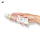 SATISFYER Massageöl Neutral 250 ml