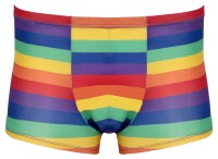 Svenjoyment Pants mit bunten Streifen-Pants in Regenbogenfarben