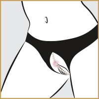 Cottelli CURVES Slip mit zartem Spitzeneinsatz