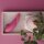 Womanizer NEXT Sensual Collection Pink