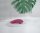 Womanizer NEXT Sensual Collection Pink