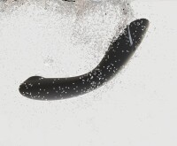 Womanizer OG Schwarz